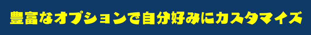 豊富なオプションで自分好みにカスタマイズ